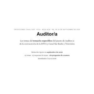 Auditor/a · Canal Sur